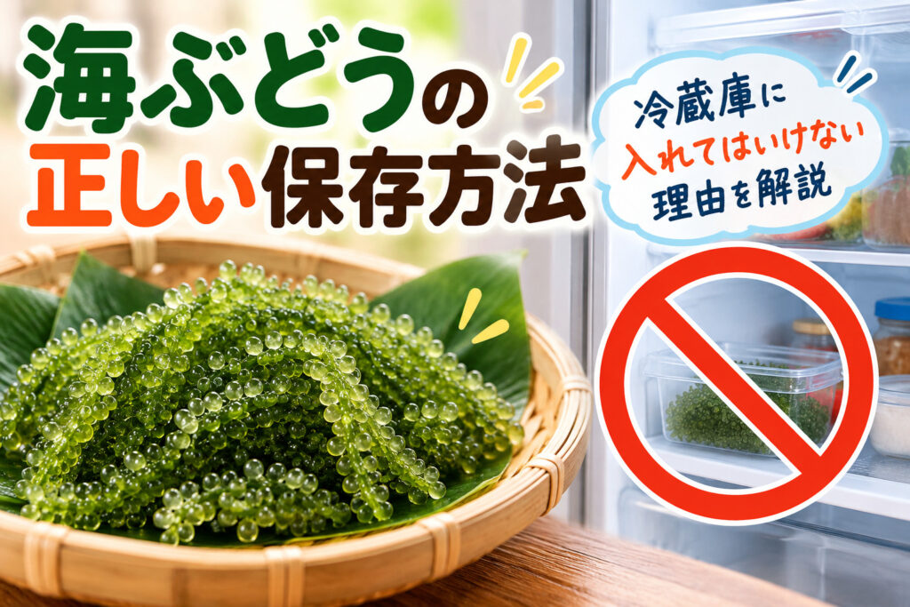 海ぶどうの正しい保存方法を紹介するイメージ。竹ざるに盛った海ぶどうと冷蔵庫に入れない注意を描いた画像。