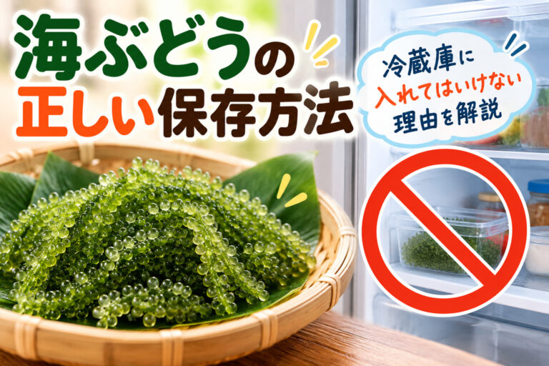 海ぶどうの正しい保存方法を紹介するイメージ。竹ざるに盛った海ぶどうと冷蔵庫に入れない注意を描いた画像。