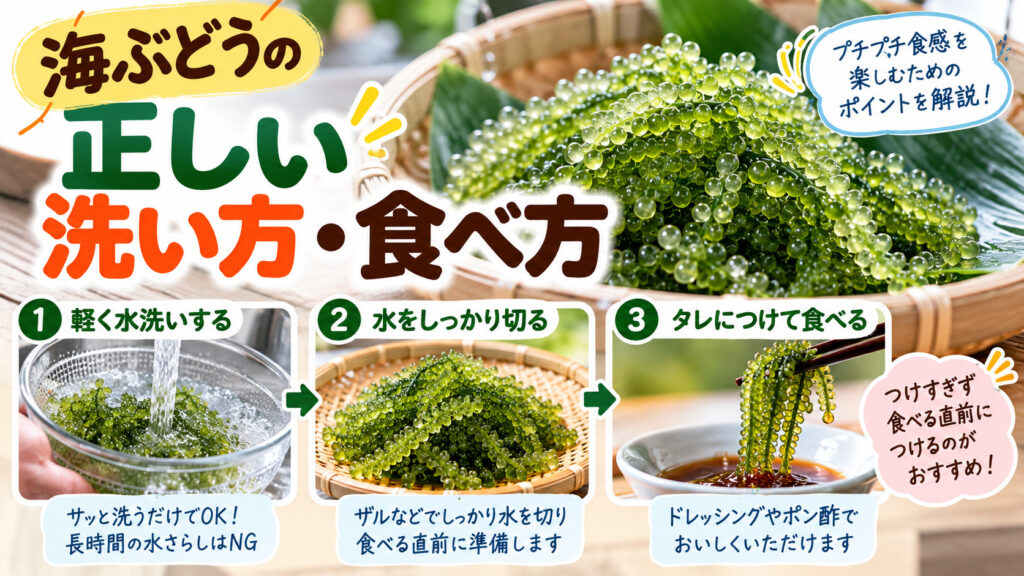 海ぶどうの正しい洗い方と食べ方を解説する3ステップの画像